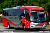 Empresa de Ônibus Pássaro Marron 6005 na cidade de Aparecida, São Paulo, Brasil, por Rodrigo  Aparecido. Número da foto: #12673598.