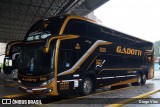 Auto Viação Gadotti 8120 na cidade de Itapema, Santa Catarina, Brasil, por Diogo Viec. Número da foto: #12673845.