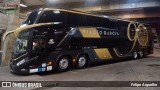 Viação Garcia 96011 na cidade de Curitiba, Paraná, Brasil, por Felipe Arguelho. Número da foto: #12671693.