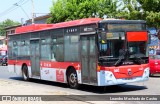 Buses Alfa S.A. 3061 na cidade de Recoleta, Santiago, Metropolitana de Santiago, Chile, por Leandro Machado de Castro. Número da foto: #12673082.