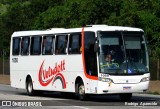 Veludo Transportes e Turismo 1050 na cidade de Aparecida, São Paulo, Brasil, por Rodrigo  Aparecido. Número da foto: #12673608.