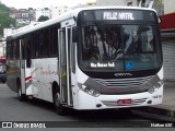 Paraibuna Transportes 16010 na cidade de Juiz de Fora, Minas Gerais, Brasil, por Nathan 630. Número da foto: #:id.