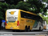 Empresa Gontijo de Transportes 15015 na cidade de São Paulo, São Paulo, Brasil, por Weslley Kelvin Batista. Número da foto: #12672421.