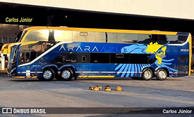 Arara Azul Viagens > Arara's Brasil Turismo 2023 na cidade de Goiânia, Goiás, Brasil, por Carlos Júnior. Número da foto: #12679508.
