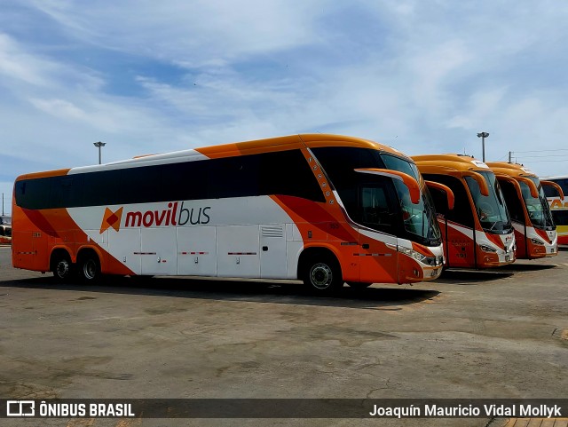 Movil Tours 155 na cidade de Chimbote, Santa, Áncash, Peru, por Joaquín Mauricio Vidal Mollyk. Número da foto: #12680097.