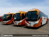 Movil Tours 224 na cidade de Chimbote, Santa, Áncash, Peru, por Joaquín Mauricio Vidal Mollyk. Número da foto: #12680091.