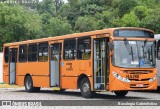 Auto Viação Redentor HA288 na cidade de Curitiba, Paraná, Brasil, por Busologia Gabrielística. Número da foto: #12678930.