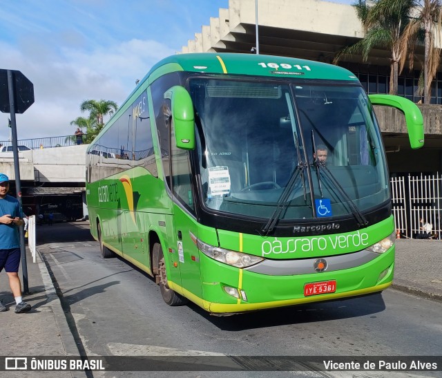 Pássaro Verde 16911 na cidade de Belo Horizonte, Minas Gerais, Brasil, por Vicente de Paulo Alves. Número da foto: #12681719.