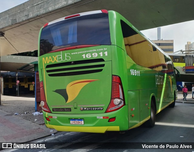 Pássaro Verde 16911 na cidade de Belo Horizonte, Minas Gerais, Brasil, por Vicente de Paulo Alves. Número da foto: #12681724.