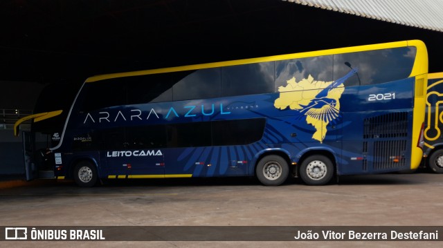 Arara Azul Viagens > Arara's Brasil Turismo 2021 na cidade de Maringá, Paraná, Brasil, por João Vitor Bezerra Destefani. Número da foto: #12681600.