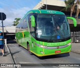 Pássaro Verde 16911 na cidade de Belo Horizonte, Minas Gerais, Brasil, por Vicente de Paulo Alves. Número da foto: #12681719.