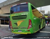 Pássaro Verde 16911 na cidade de Belo Horizonte, Minas Gerais, Brasil, por Vicente de Paulo Alves. Número da foto: #12681724.