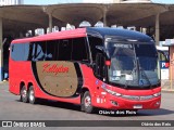Kellytur Transportes Turísticos 1507 na cidade de Porto Alegre, Rio Grande do Sul, Brasil, por Otávio dos Reis . Número da foto: #12682991.