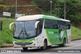 Pássaro Verde 1047 na cidade de Viçosa, Minas Gerais, Brasil, por Julio Cesar Euzebio Alves. Número da foto: #:id.