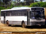 Rafael Tur 0052 na cidade de Nazaré da Mata, Pernambuco, Brasil, por Edjunior Sebastião. Número da foto: #12682883.