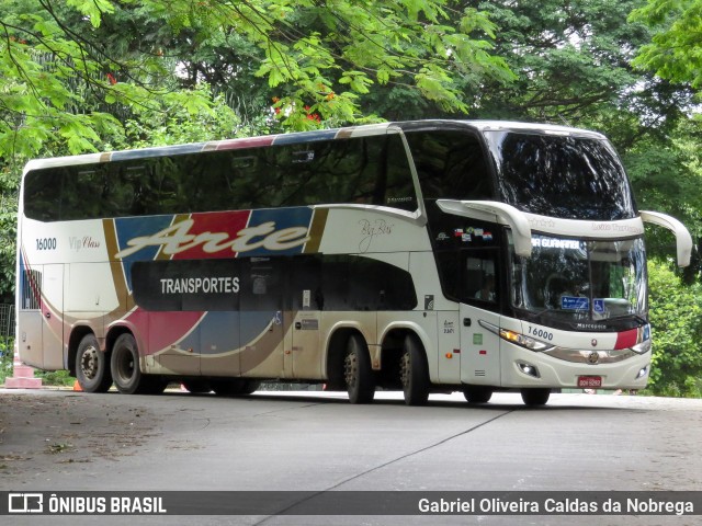 Arte Transportes e Turismo 16000 na cidade de São Paulo, São Paulo, Brasil, por Gabriel Oliveira Caldas da Nobrega. Número da foto: #12684207.
