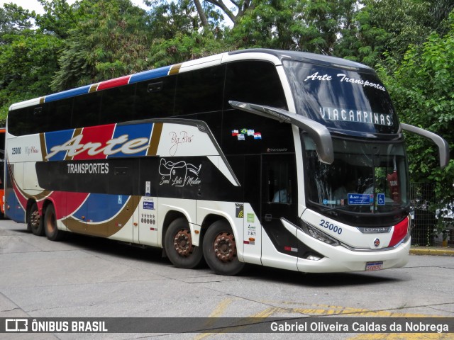 Arte Transportes e Turismo 25000 na cidade de São Paulo, São Paulo, Brasil, por Gabriel Oliveira Caldas da Nobrega. Número da foto: #12684222.