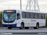 Trampolim da Vitória 406 na cidade de Messias, Alagoas, Brasil, por Rodrigo Fonseca. Número da foto: #12687248.