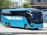 Viação Águia Branca 33210 na cidade de Maceió, Alagoas, Brasil, por Rodrigo Fonseca. Número da foto: #12686763.