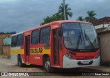 Transporte Matos 6747 na cidade de Ataléia, Minas Gerais, Brasil, por Gean Lucas. Número da foto: #12683946.