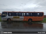 Transporte Rural 7871 na cidade de Avanhandava, São Paulo, Brasil, por Thyago Galante . Número da foto: #:id.