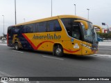 Expresso Amarelinho 349 na cidade de São Paulo, São Paulo, Brasil, por Marco Aurélio de Oliveira. Número da foto: #12683906.