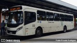 Empresa de Ônibus Campo Largo 22272 na cidade de Campo Largo, Paraná, Brasil, por Pedro Ricardo Rodrigues. Número da foto: #12684930.