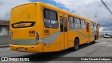 Transportes Coletivos Nossa Senhora da Piedade 696 na cidade de Campo Largo, Paraná, Brasil, por Pedro Ricardo Rodrigues. Número da foto: #12684952.