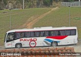 Turismo Pavão 20202 na cidade de Mairinque, São Paulo, Brasil, por Flavio Alberto Fernandes. Número da foto: #:id.