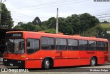 Gaio Azul 36E36 na cidade de Curitiba, Paraná, Brasil, por Matheus Felipe. Número da foto: #12611756.