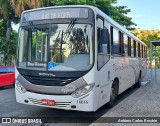 Paraibuna Transportes 16016 na cidade de Juiz de Fora, Minas Gerais, Brasil, por Antônio Carlos Rosário. Número da foto: #:id.