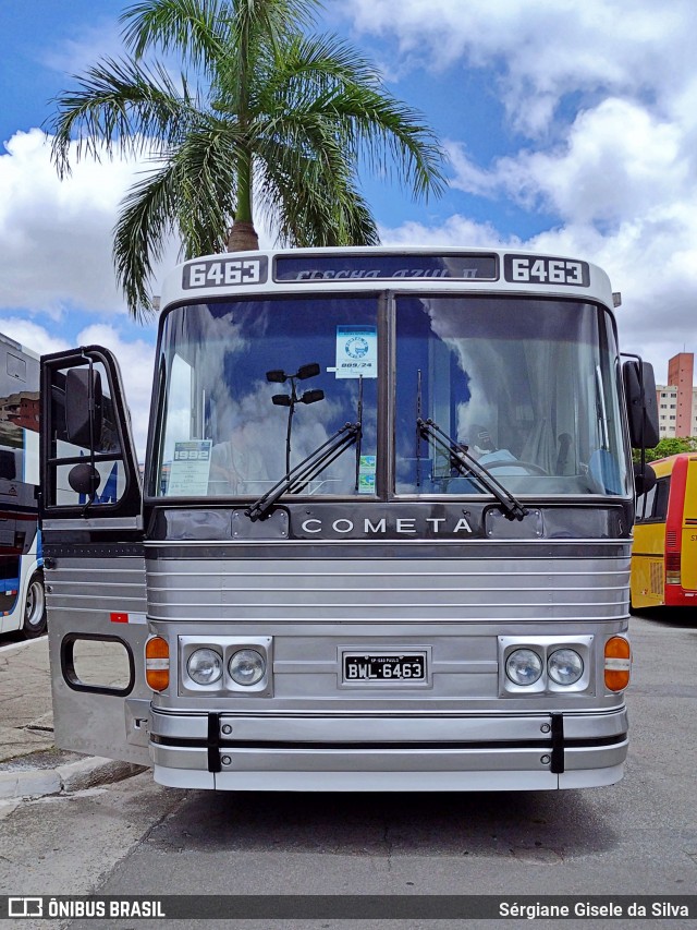 Ônibus Particulares 6463 na cidade de Barueri, São Paulo, Brasil, por Sérgiane Gisele da Silva. Número da foto: #12687575.