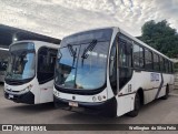 Transmarle Turismo > TransMarlen 100 na cidade de Serra, Espírito Santo, Brasil, por Wellington  da Silva Felix. Número da foto: #12689284.