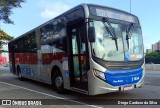 Sambaíba Transportes Urbanos 2 1034 na cidade de São Paulo, São Paulo, Brasil, por Diego Cardoso da Silva. Número da foto: #12690128.