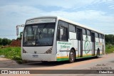 Nutri Torta - Nutrição Animal 7 6825 na cidade de Luís Eduardo Magalhães, Bahia, Brasil, por Cleber Bus. Número da foto: #12690101.