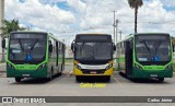 Viação Araguarina 3173 na cidade de Goiânia, Goiás, Brasil, por Carlos Júnior. Número da foto: #12688072.