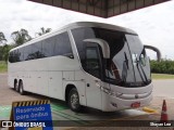 Baleia Turismo 3016 na cidade de Gravataí, Rio Grande do Sul, Brasil, por Shayan Lee. Número da foto: #12689271.