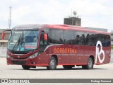 Borborema Imperial Transportes 2411 na cidade de Recife, Pernambuco, Brasil, por Rodrigo Fonseca. Número da foto: #12687571.