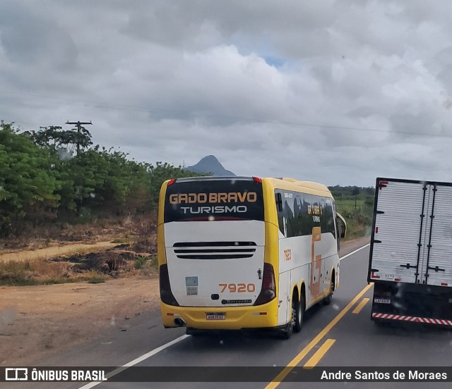 Gado Bravo Turismo 7920 na cidade de Itamaraju, Bahia, Brasil, por Andre Santos de Moraes. Número da foto: #12692734.