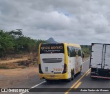 Gado Bravo Turismo 7920 na cidade de Itamaraju, Bahia, Brasil, por Andre Santos de Moraes. Número da foto: #12692734.