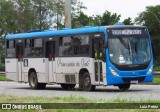 Princesinha do Vale 222313 na cidade de Itatiaia, Rio de Janeiro, Brasil, por Luiz Petriz. Número da foto: #:id.
