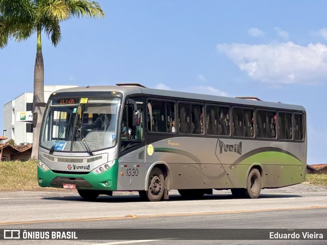 Turin Transportes 1330 na cidade de Conselheiro Lafaiete, Minas Gerais, Brasil, por Eduardo Vieira. Número da foto: #12614426.