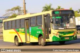TREL - Transturismo Rei DC 6.041 na cidade de Duque de Caxias, Rio de Janeiro, Brasil, por Paulo Henrique Pereira Borges. Número da foto: #12614993.