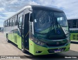 Turin Transportes 2405 na cidade de Ouro Branco, Minas Gerais, Brasil, por Eduardo Vieira. Número da foto: #12614449.