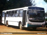 Trans Neópolis 1723 na cidade de Carpina, Pernambuco, Brasil, por Edjunior Sebastião. Número da foto: #12614108.
