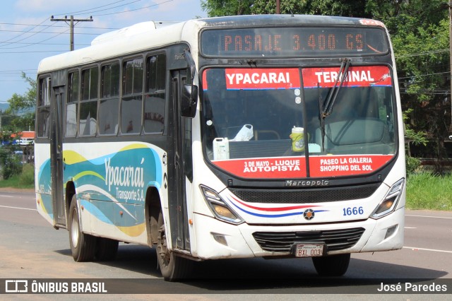 Ypacarai Transporte S.A. - Línea 242 1666 na cidade de Ypacaraí, Central, Paraguai, por José Paredes. Número da foto: #12617904.