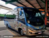 Vidakars Transportes e Turismo 1313 na cidade de Guarulhos, São Paulo, Brasil, por Andre Santos de Moraes. Número da foto: #12617551.