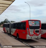 Itajaí Transportes Coletivos 2049 na cidade de Campinas, São Paulo, Brasil, por Andre Santos de Moraes. Número da foto: #12616051.