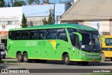 Pássaro Verde 11102 na cidade de Manhumirim, Minas Gerais, Brasil, por Lucas Oliveira. Número da foto: #12616682.