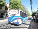 Andibus 67 na cidade de Santa Cruz, Colchagua, Libertador General Bernardo O'Higgins, Chile, por Pablo Andres Yavar Espinoza. Número da foto: #:id.